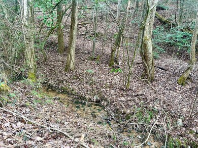 12 ACRE Pleasant Gap Rd, Ellijay, GA 30540 - photo 7