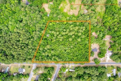 3.82 ACS W/S Black Rd SE, Darien, GA 31305 - photo 2