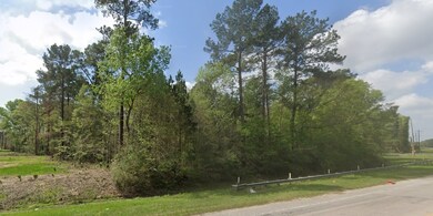 0 Huffman Cleveland Rd unit 9617406, New Caney, TX 77357 - photo 3