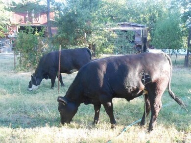 5791 Reno Ln, Redding, CA 96001 - photo 4