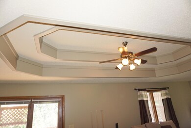 Living Room Vaulted Ceiling