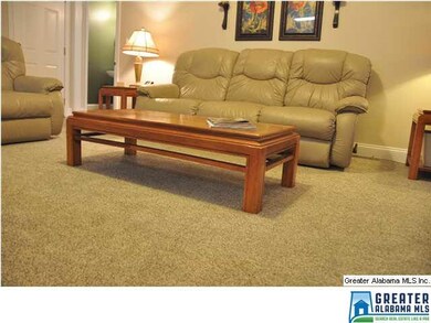 Plush new carpet