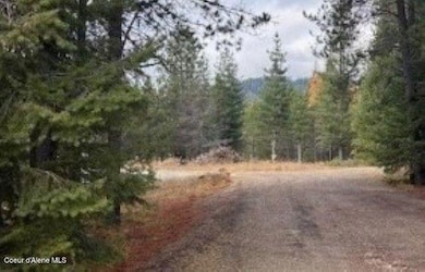 171 (temp) Bear Rd, Priest River, ID 83856 - photo 6