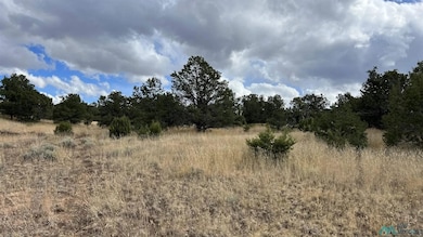 0 Mountain View unit 24140967, Pie Town, NM 87827 - photo 2