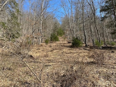 0 Winslow Hill Rd unit 21440465, Benezette, PA 16056 - photo 2