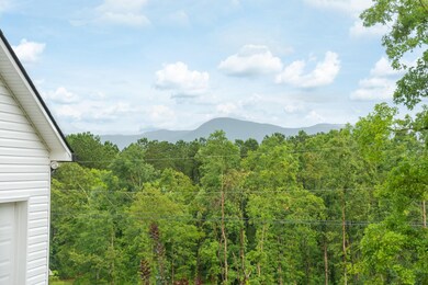 293 Ellis Cir, Chatsworth, GA 30705 - photo 6