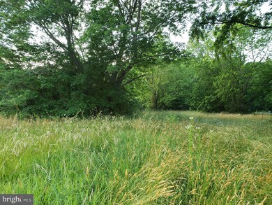 697 Peach Basket Rd, Felton, DE 19943 - photo 5