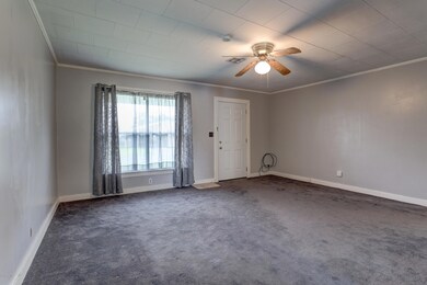 116 Camellia-5