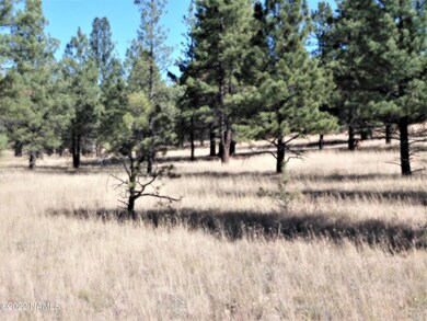 2 Acre Parcel 1