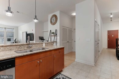Twelve 09 unit 307, Baltimore, MD 21201 - photo 5