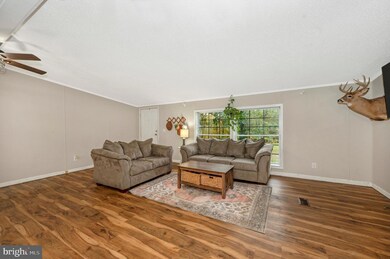 120 Hurley Ln, Berkeley Springs, WV 25411 - photo 3