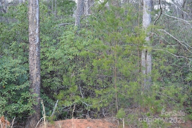 118 Crestline Dr unit 90, Marion, NC 28752 - photo 4