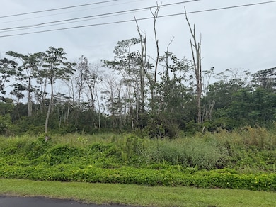 0 Awa St unit 725782, Hawaiian Beaches, HI 96778 - photo 5