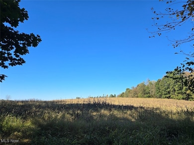 7011 Kensington Rd NE, Carrollton, OH 44615 - photo 6