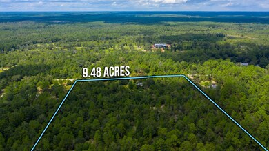 4460 Tick Haven Ln Aerial-4