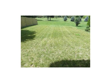 Yard.