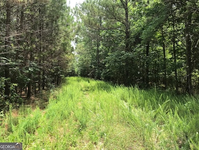 0 Moores Gin Rd unit 9693 10325272, Fairmount, GA 30139 - photo 6