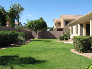 Rear Yard - 3239 E. Inverness Ave. Mesa