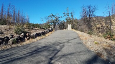 mule town 3
