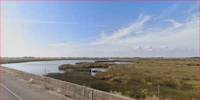 71 Bay Dr, Palacios, TX 77465 - photo 3