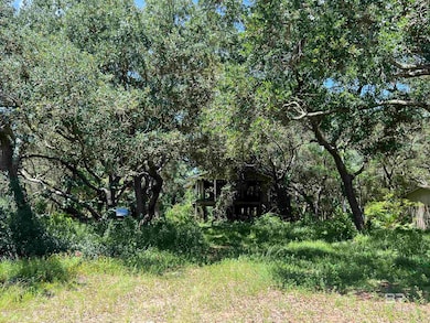 North View from middle of property