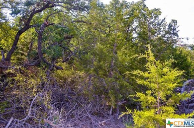 unlisted-address, Kempner, TX 76539 - photo 7