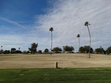 18030 N 99th Dr, Sun City, AZ 85373 - photo 4