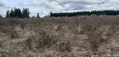 902 NW Rhoton Rd, Yelm, WA 98597 - photo 3