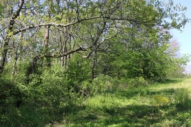 5.5 AC Alpine Rd, Brooklyn, WI 53521 - photo 3
