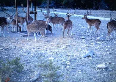 9288 Sutton County Road 406, Sonora, TX 76950 - photo 3