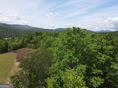 4.78 AC Hawkview, Hiawassee, GA 30546 - photo 6