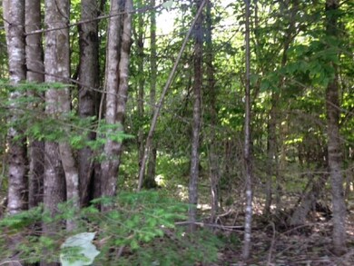 Maine land for sale