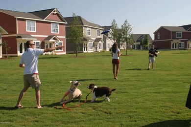 dogs-playing