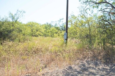 TBD County Road 149, Brownwood, TX 76801 - photo 5