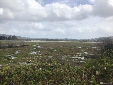 0 14th St & Monohon Landing Rd, Raymond, WA 98577 - photo 2