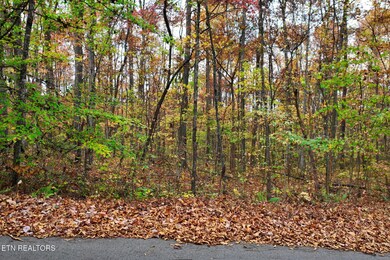 Walker Rd 735