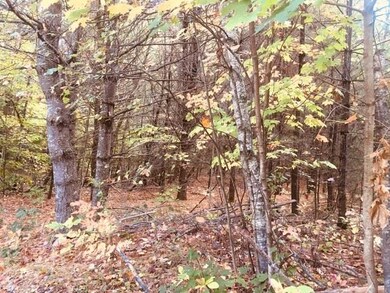 L7 Burley Park Dr, Wakefield, NH 03830 - photo 4