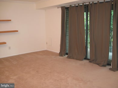 7332 Tavenner Ln unit 3A, Alexandria, VA 22306 - photo 3
