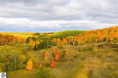 0 E Lincoln Rd unit 1859726, Cedar, MI 49621 - photo 6