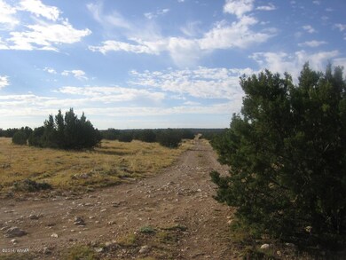 Joan 14 acres  Mulvhill 001