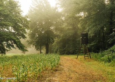 Castens Creek Pics-7