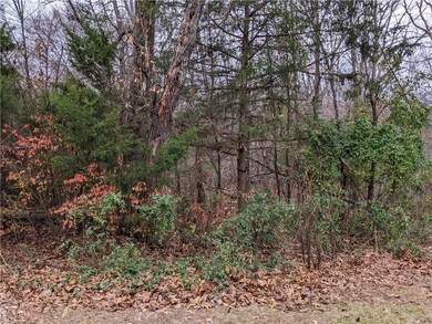 Lot 17, Block 1 Clevedon Cir, Bella Vista, AR 72715 - photo 2