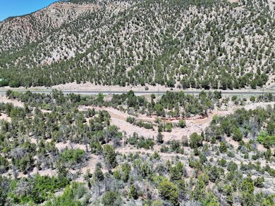 DJI_20250617212825_0013_V