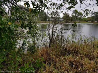 820 Lake Betty Dr, Lake Placid, FL 33852 - photo 3