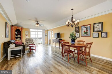 7315 Brookview Rd unit 304, Elkridge, MD 21075 - photo 4