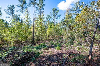 3785 Hwy 140 NE, Rydal, GA 30171 - photo 7