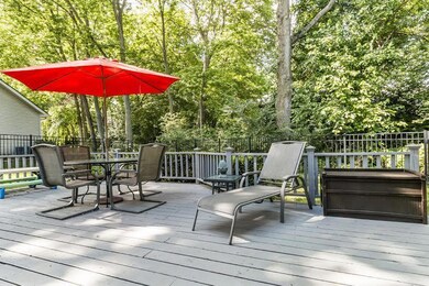 lo backyard