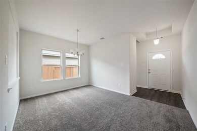 20105 Wade Hampton Dr, Cleveland, TX 77327 - photo 6