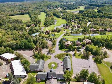 6500 Schuss Mountain Ln unit 112, Mancelona, MI 49659 - photo 2