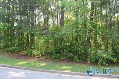 Lots 6 and 7 Lea Christine Cir NE, Arab, AL 35016 - photo 3